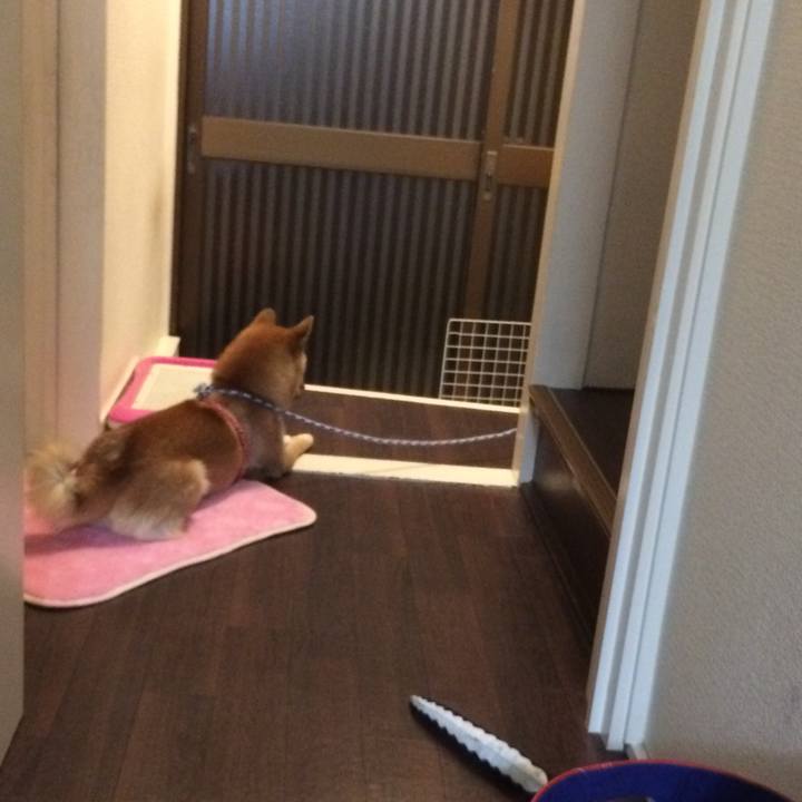 B3025966 cec0 4952 b15a 6980a8ea7b60