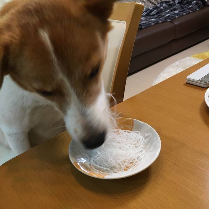 B3032c81 76c9 48a8 85b1 eeaa28ccd39e