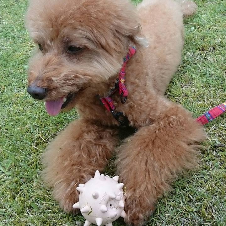 B3039885 bb08 4400 9152 15e7466a254a