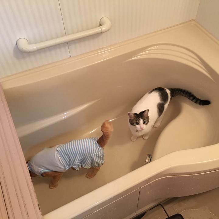 B303b886 970c 4a26 91da a064e89e2394