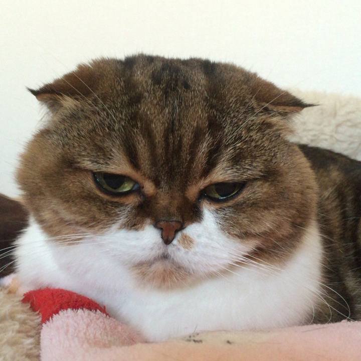 B303d39d 2677 465e bd24 1a0a7b1e961b