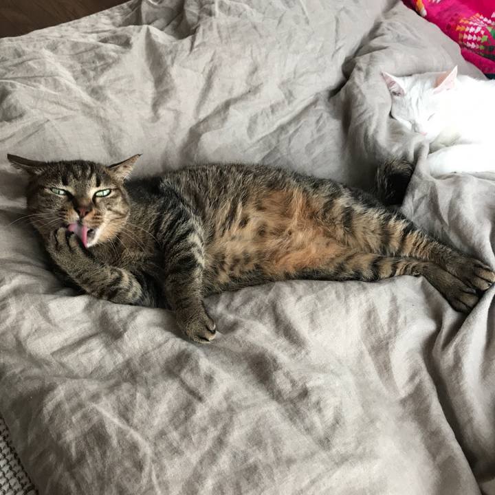 B3041308 cada 4991 9269 4965d1e49670