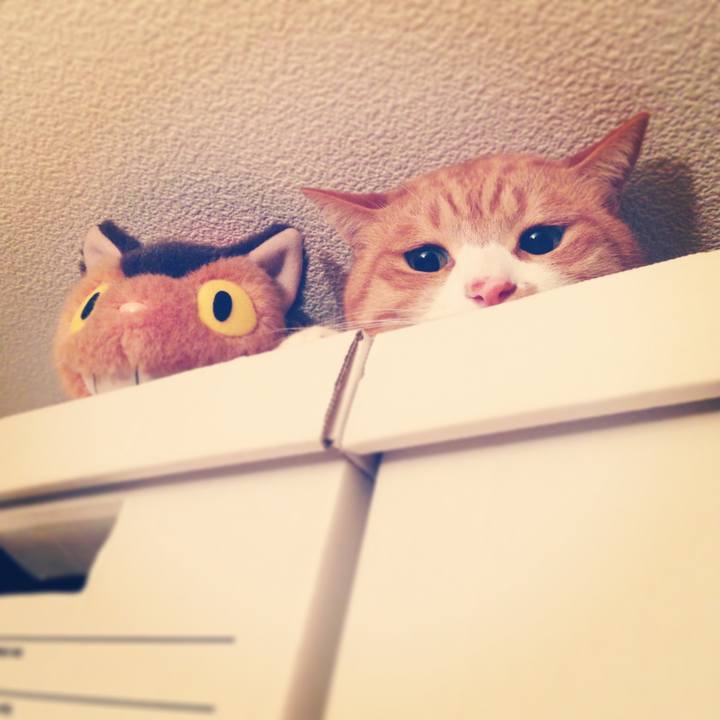 B3041ed3 6074 490f 8847 648ff95f2097