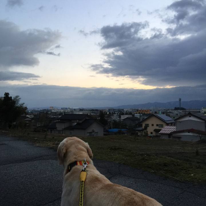 B3045d77 d921 4874 b507 32f2cf204c14