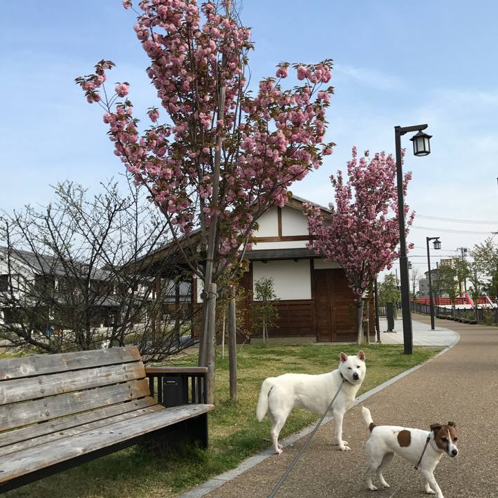 B304a41a d991 4692 98ae e214a768b41a