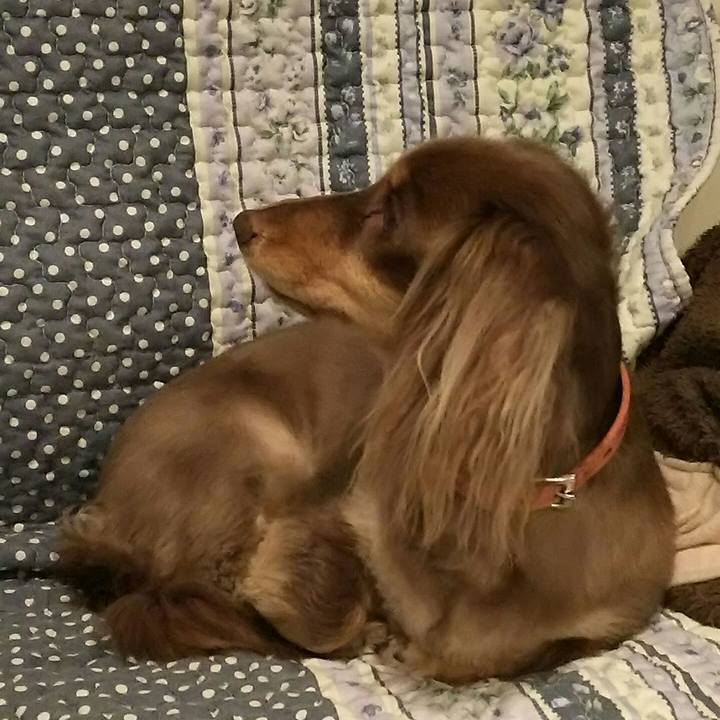 B3052de3 f3ae 4567 b994 ee5a97fe524c