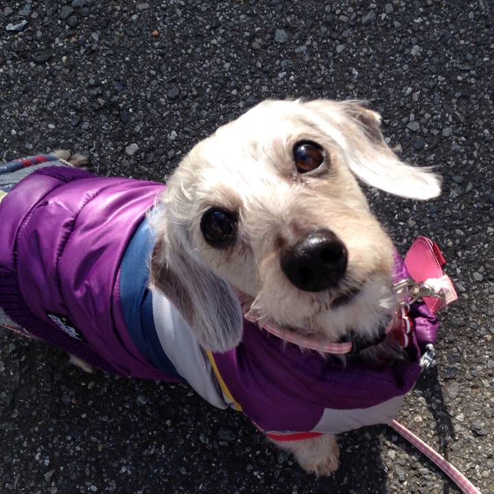 B3054e05 4f6a 4f3c a09f 6f42730b13b4