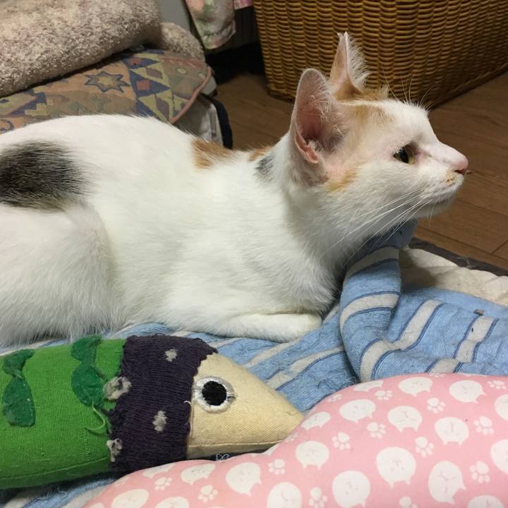 B305a218 db99 44c9 bd12 066e53ed55aa