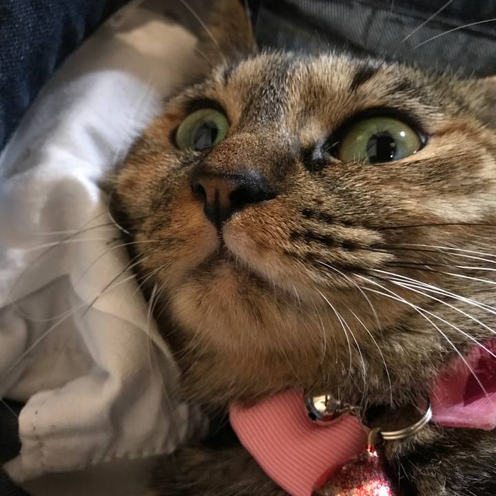 B305b0b6 054b 40d4 af15 e3e30b30f9ee