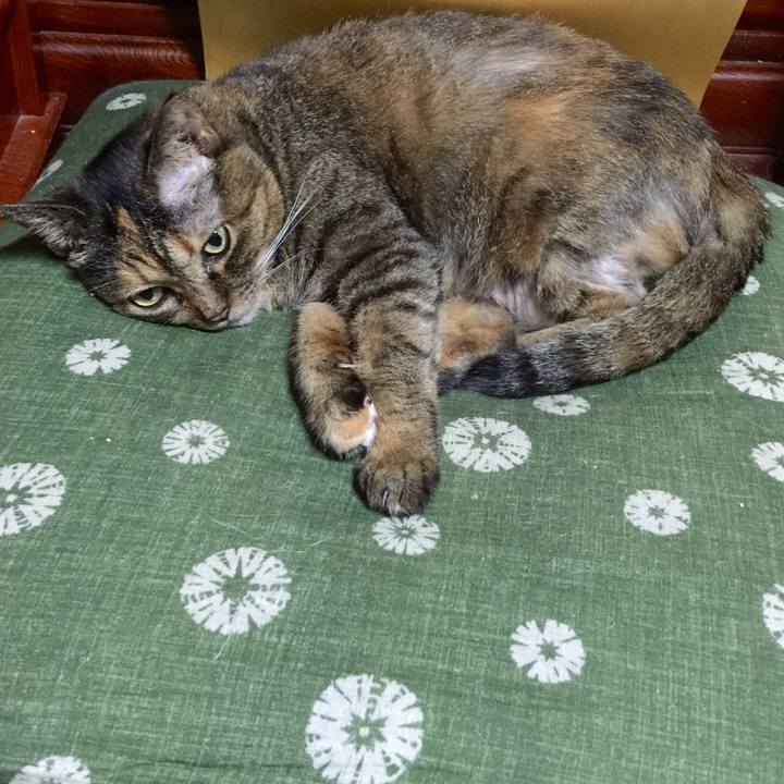 B305f0fb 17e6 4b5b a562 7256de1820cf