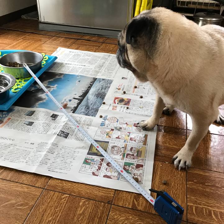 B306a9a4 6c74 4cfa ab86 daca6b27b8ca