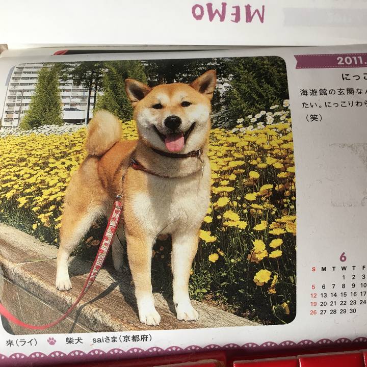 B307173b 91da 47a3 b011 19000ef9b601