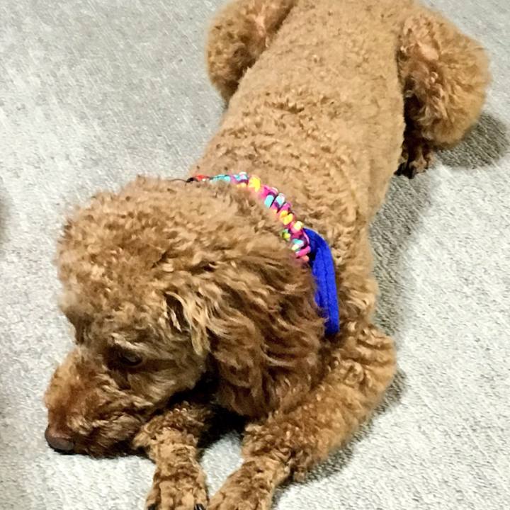 B307382f 4c40 4695 a075 882577df2181