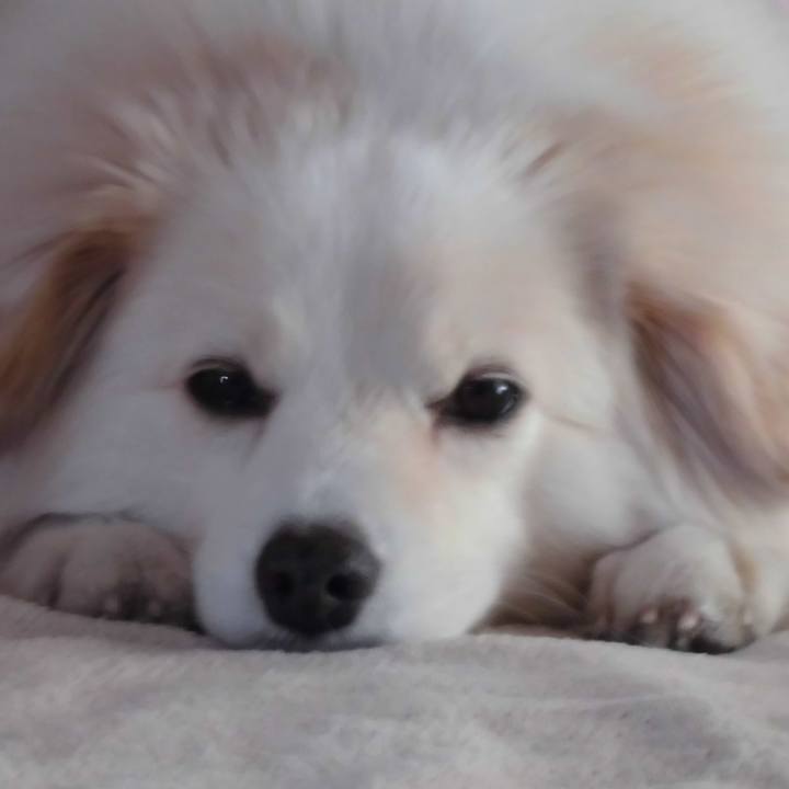 B30776a4 409c 4eff b620 0c6d1b8c6f12