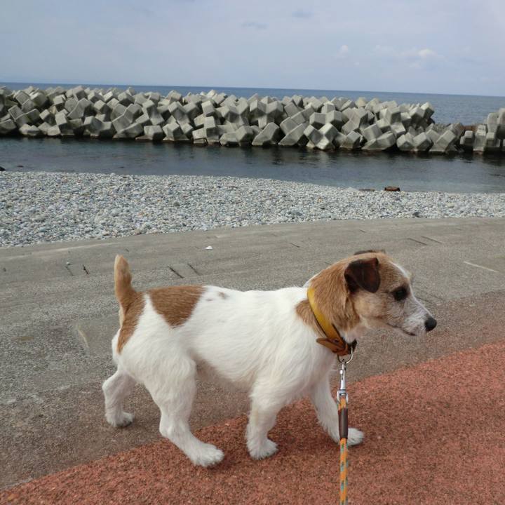 B3079156 cb86 4a15 9e0f 0d85210507ba