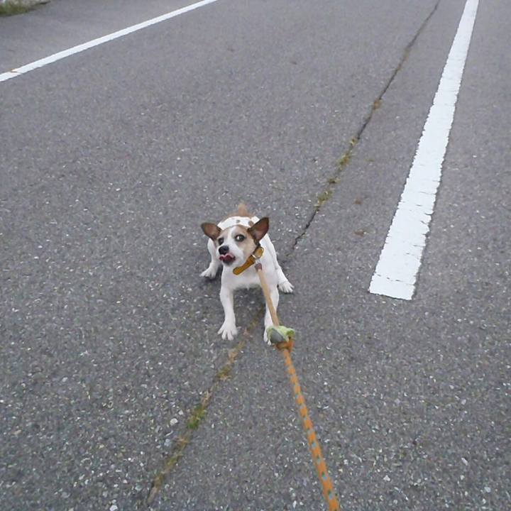 B3080fc1 632d 4ad4 8700 1b0cdd49970d