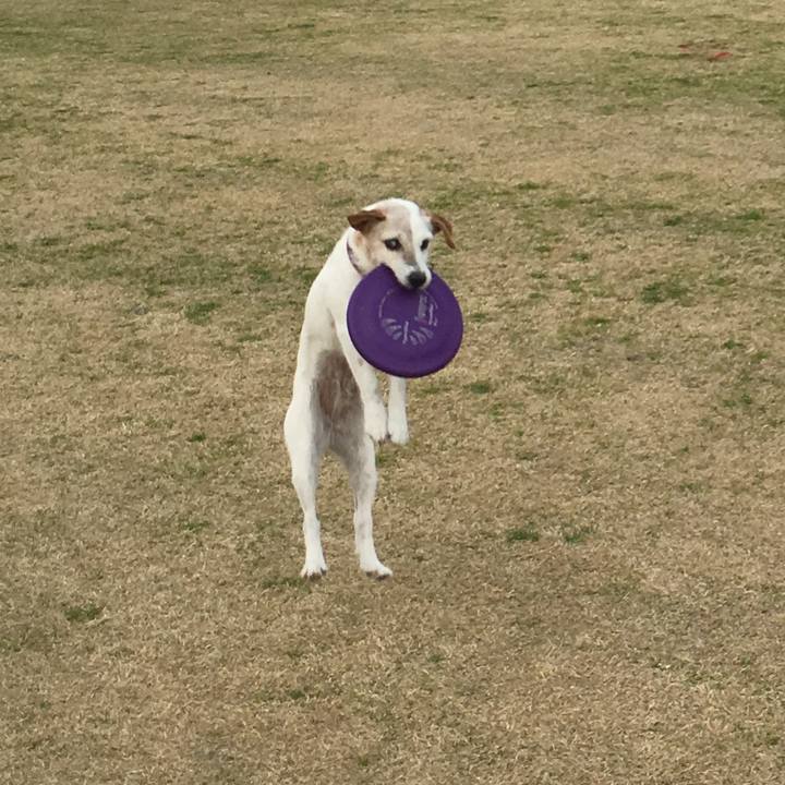 B3083b8d f553 41ce 97ae 174b618a37bc