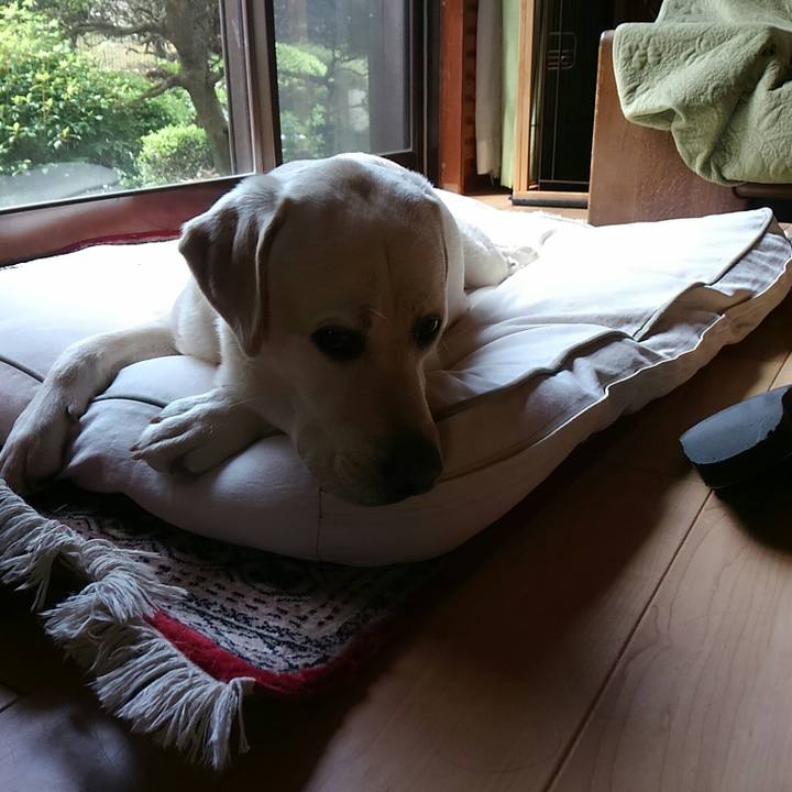 B308f411 b378 4494 89f0 0153b432dfd5