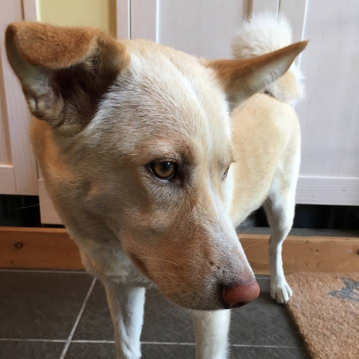 B308f84b c2a2 40df ba80 b7d32ec6af68