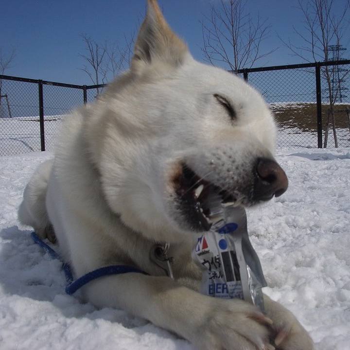 B3094918 e4a4 43aa 87ff 173feaf6ce10