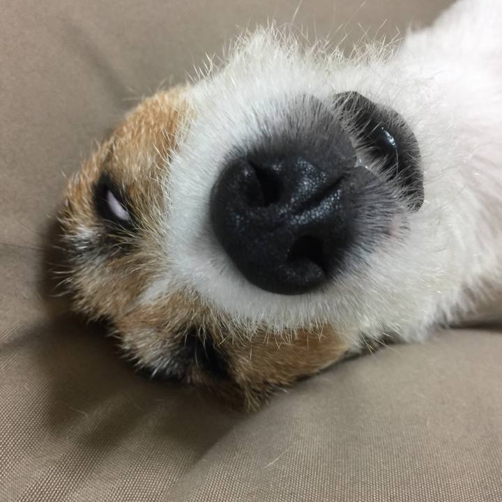 B309c4e7 1eb4 439a 8f74 0f18f7c940c0