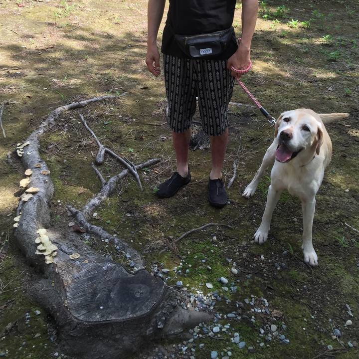 B309f4fc 9b23 45bd ac97 66f590617ed8