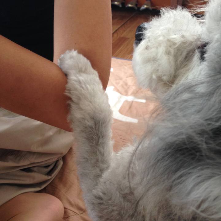 B30a42a2 63bf 4ddb 9b05 08aeef645787