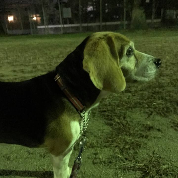 B30a666c 2868 4689 b861 d4981f19af83