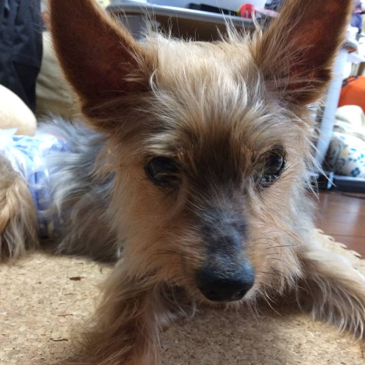 B30b3238 5dca 420f aa6e f2822a662729