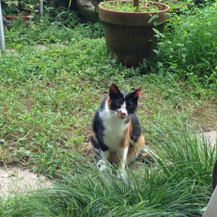 B30b4849 f99c 44c2 a4a7 9c05b679e1e0