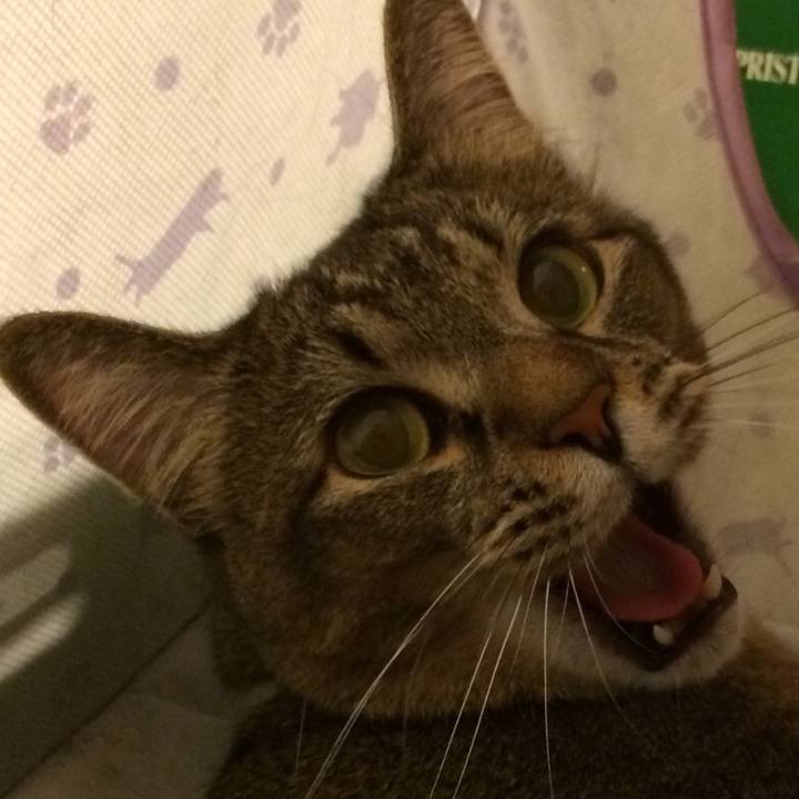 B30bd05b 87a4 43bd 8487 0e8f27257d86