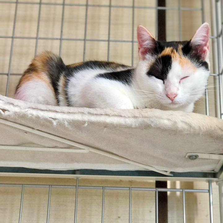 B30beee6 e4cf 4801 99e1 e34687a523dd