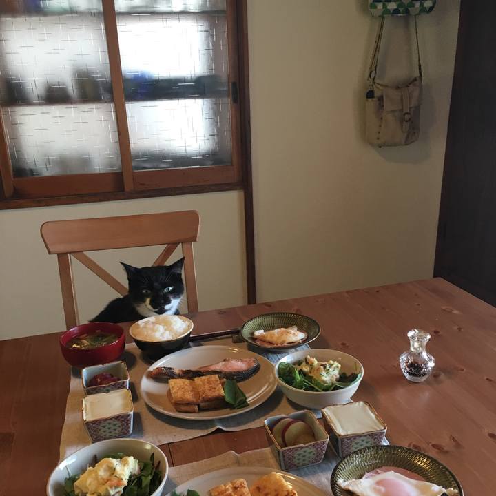 B30bf193 1c19 4e44 84aa 0d44fd7a07aa