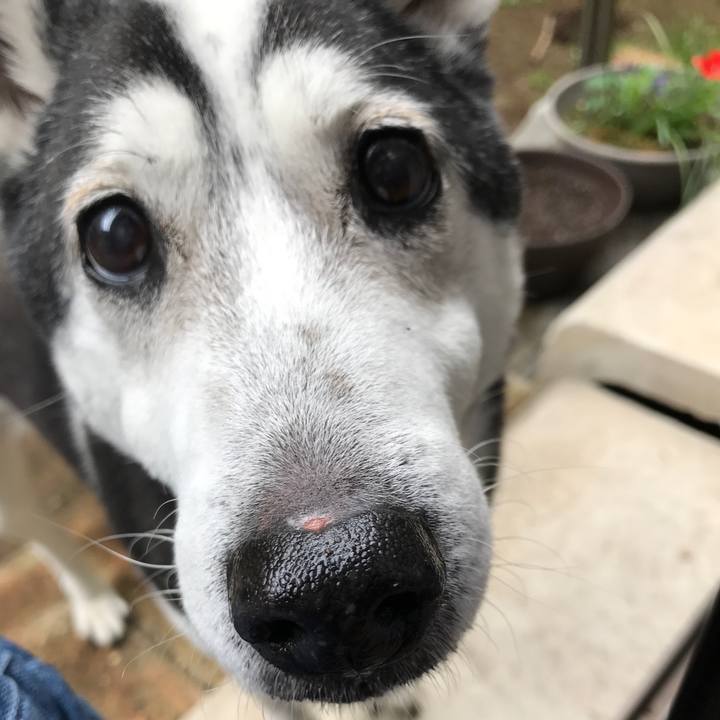 B30c146d 915a 475c 859d 3dacb07ab12a