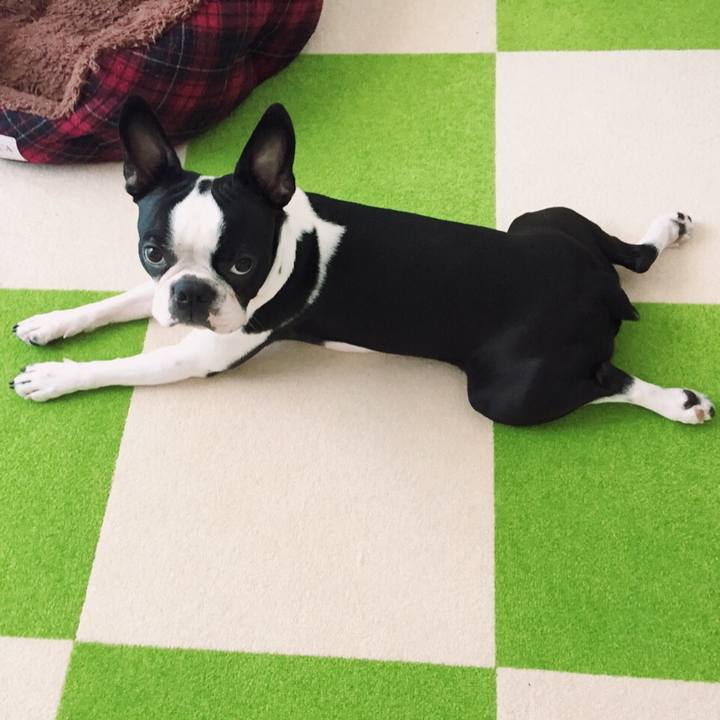 B30de5f7 9ecc 49a8 9d88 b2b0d29add7d