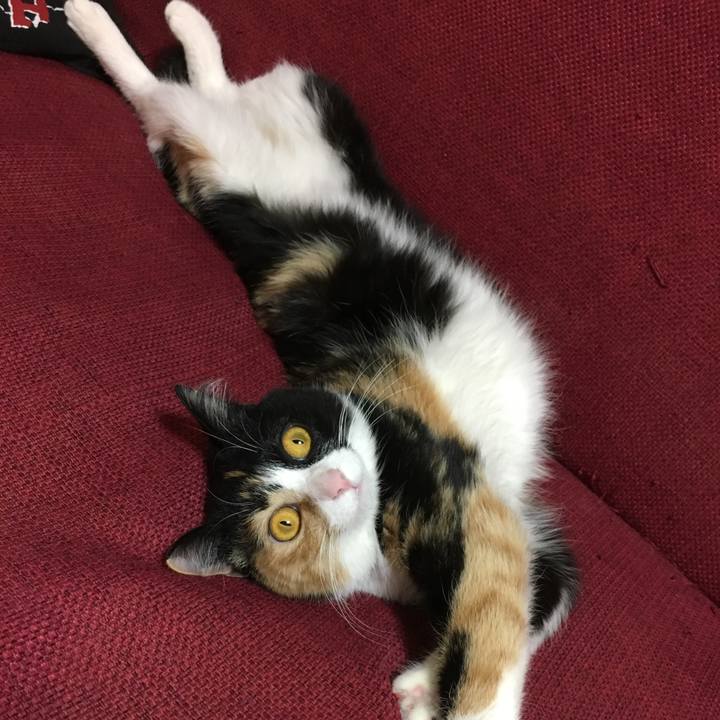 B30e4f29 53c7 480f 89d1 675119a3fe9a