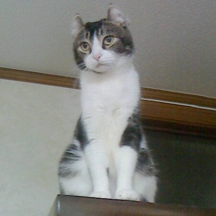 B30f94fa ecb7 4d36 b96f 1e34762cc5c2