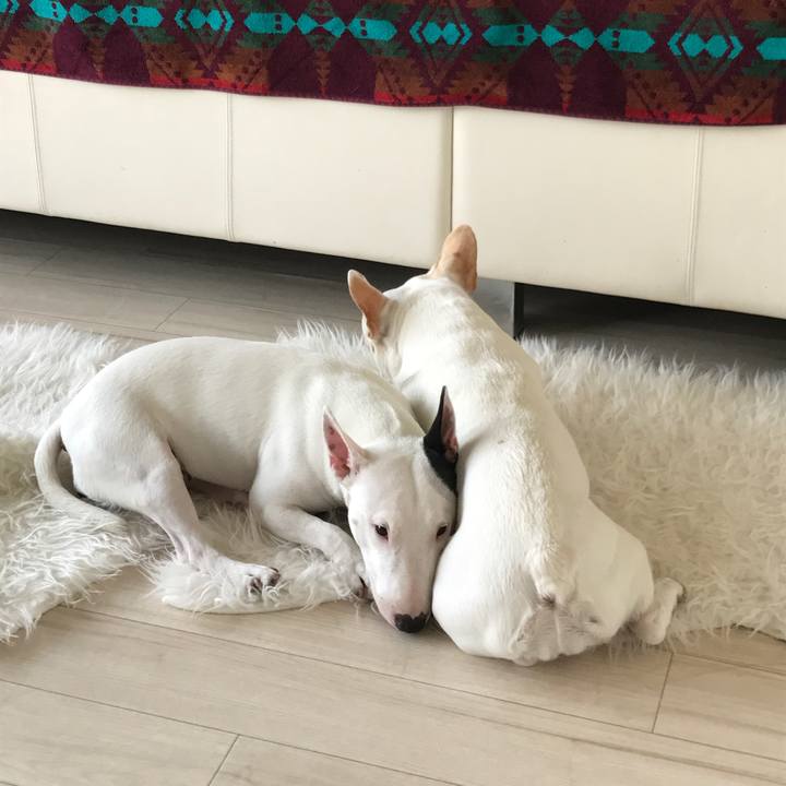 B30fbc12 8ebc 4d3c 90ff 7b06d85a7529