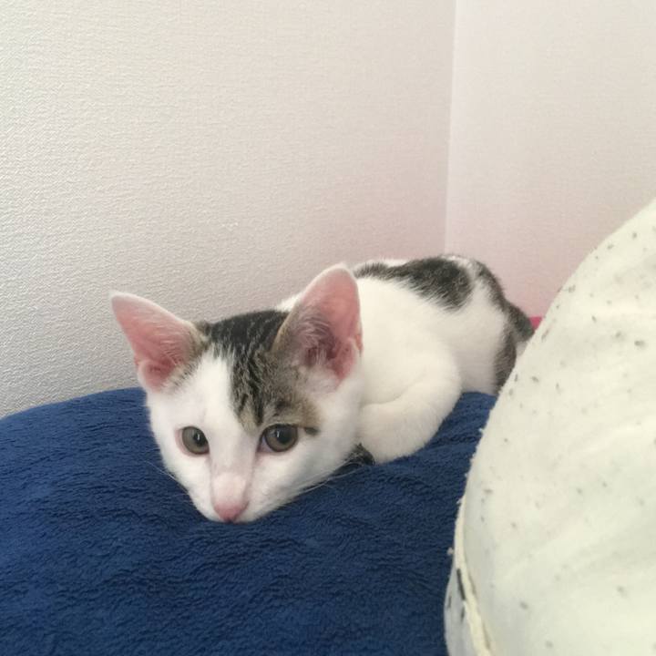 B30fdb11 9699 43c6 94b8 af314ec80290