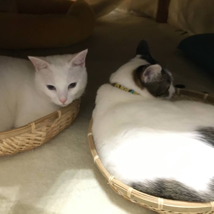 B3102861 b313 4614 94fe 5bad2d2e323e