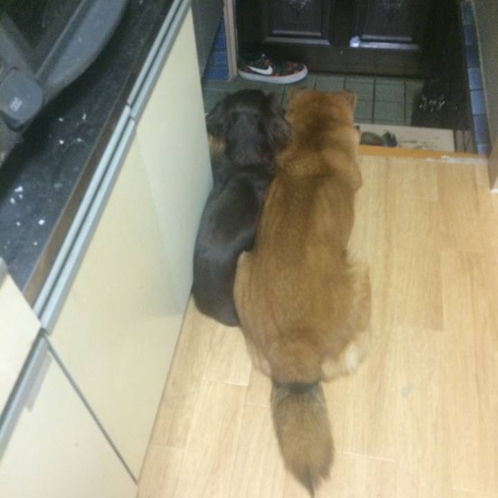 B3106b94 0b38 4dba a646 7b97f3308619