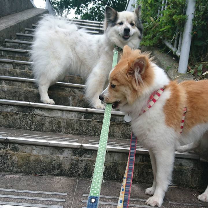 B310952a 88d2 46b2 b61d 01d62a4a4437