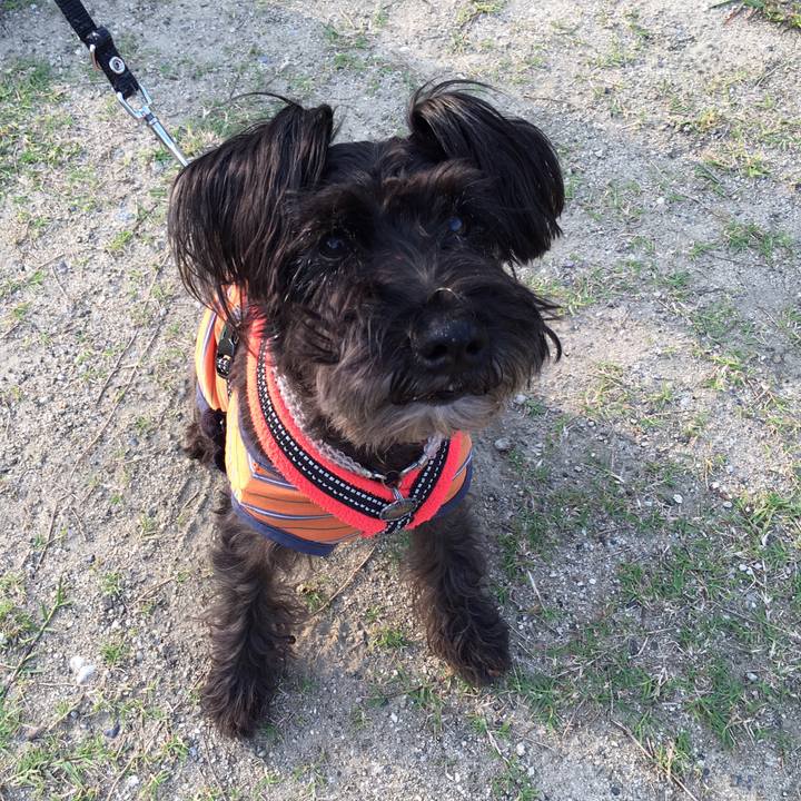 B310c1d5 5a3b 48e7 8b0e 5678075d598d