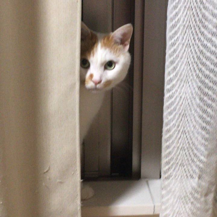 B3114ffd 6bdd 4242 9ad9 e6812befc95f