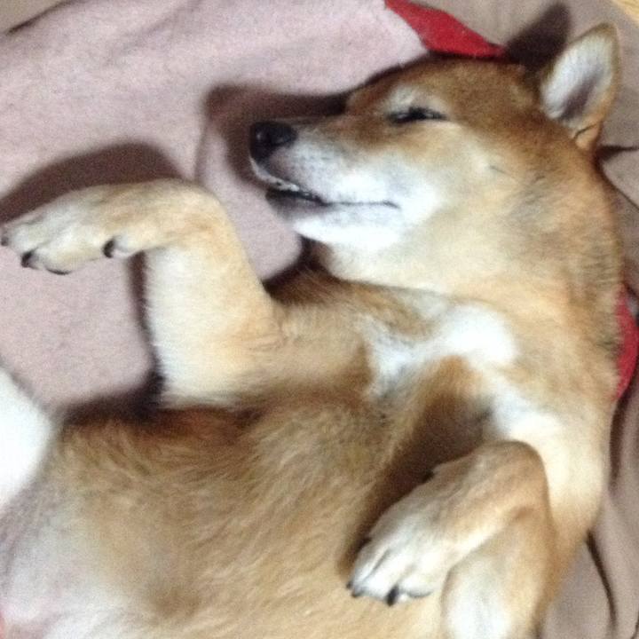 B3115169 e79a 4469 a5a9 17ae9b9671d8