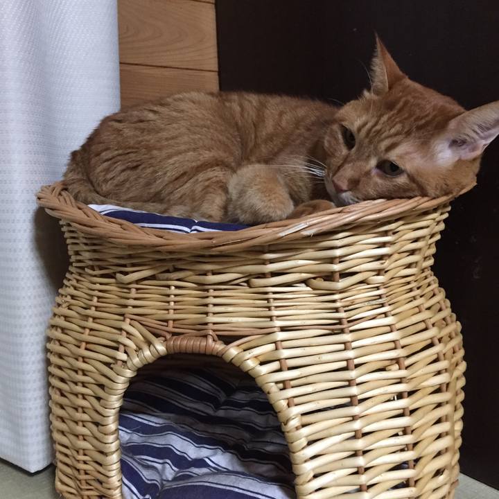 B31169ca 27b3 43be a4ea 293342d60ba0