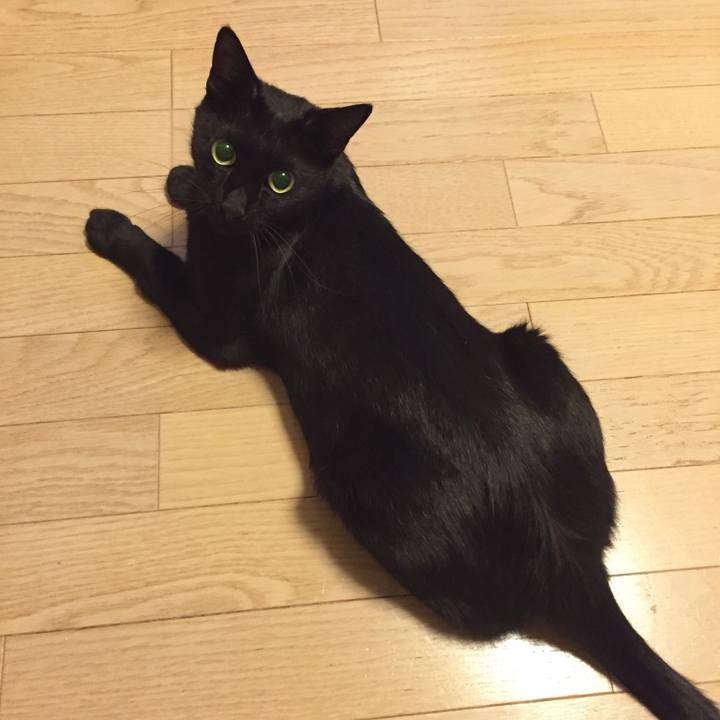 B311afd5 2c49 419e a838 e69a75637be4