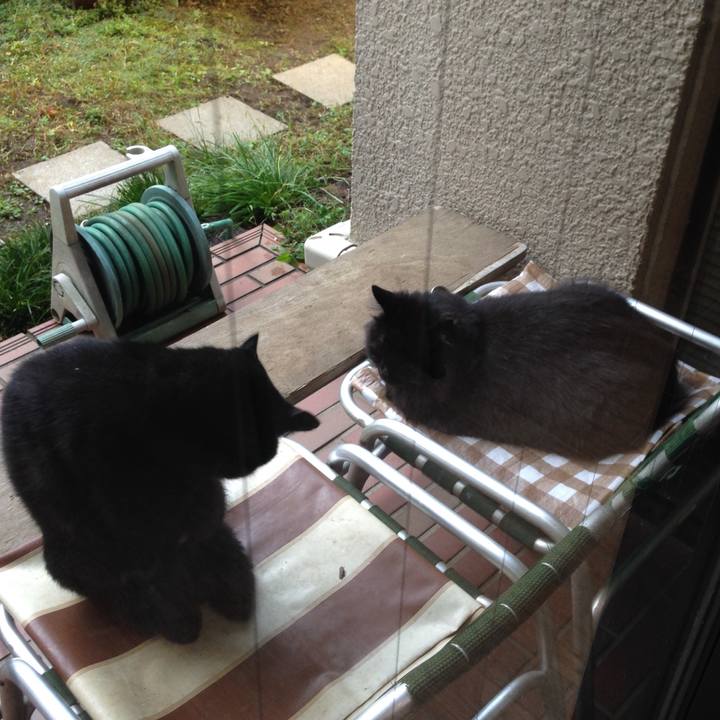 B311f8ac 3266 4852 822b b6a8b1d658f5