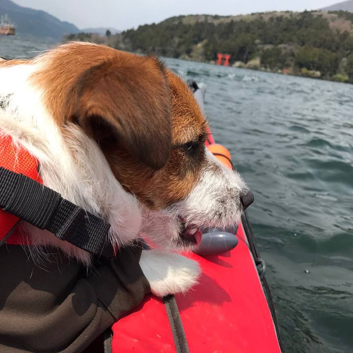 B3125b8b 8954 475b 9fa9 98c4e172cbe8