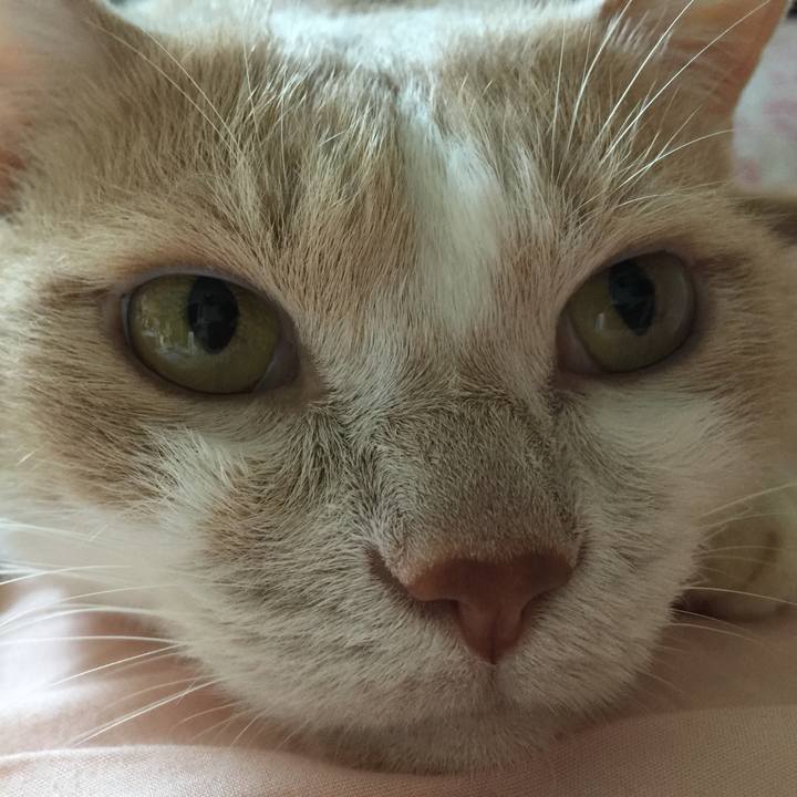 B3127d28 a610 4005 a7ba 89886e390ed7